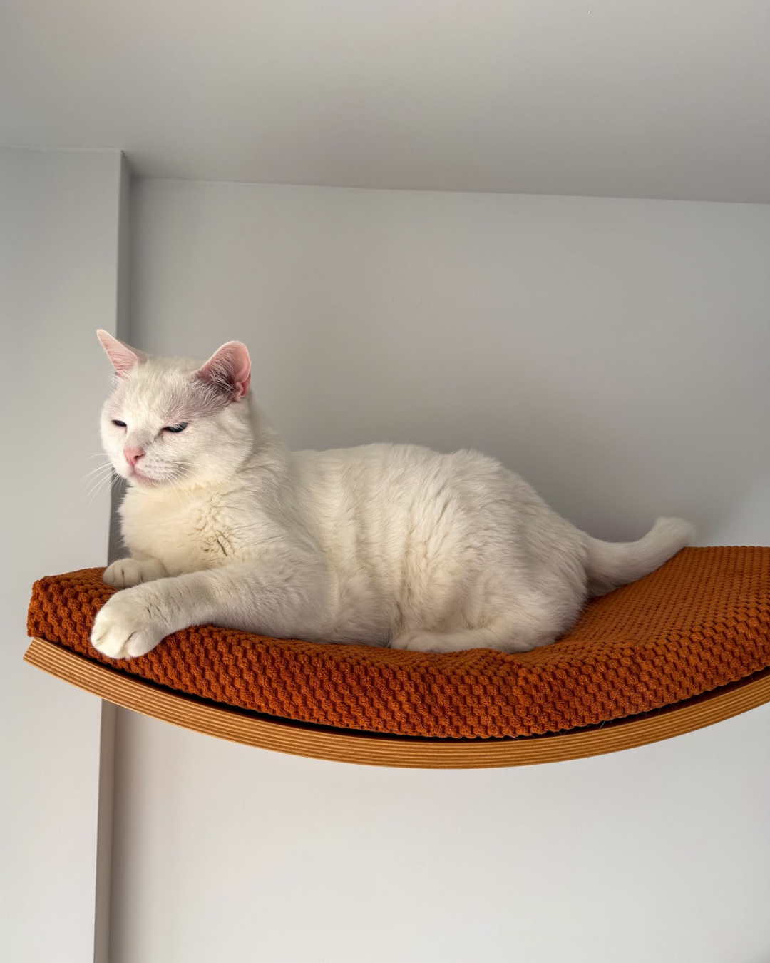 Cama de pared Cascina 60cm