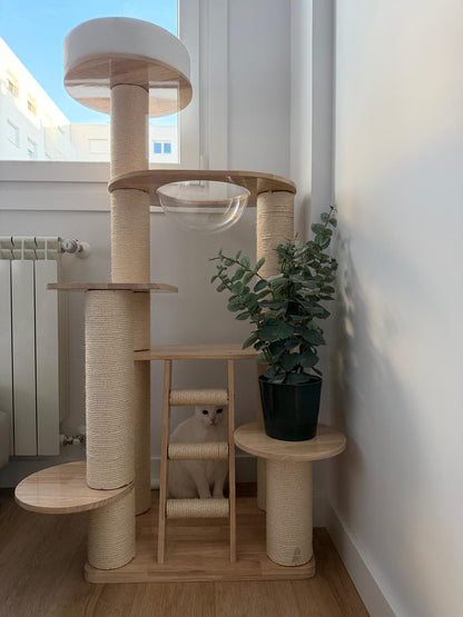 Torre Olivia